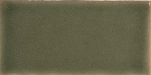 134624 Yoko Moss Gloss 6.2x12.5 - фото 1
