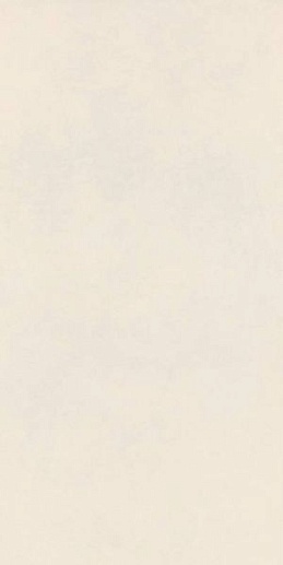 Decora Bianco 60x120 - фото 1