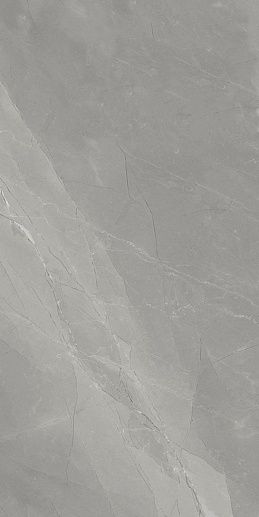 Myas Grey 60x120 - фото 1