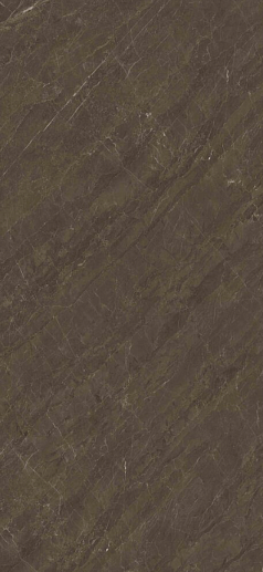 Pisa Grey Polished 120x260 - фото 1