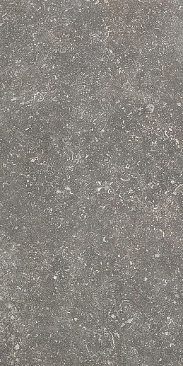 Atmospheres de Rex Charme Pat Smooth 40x80 - фото 1