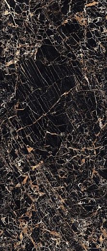 MaximVS Black & Gold 60x120 - фото 1