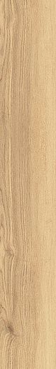 Mountain Ash Gold Str 23x149.8 - фото 1