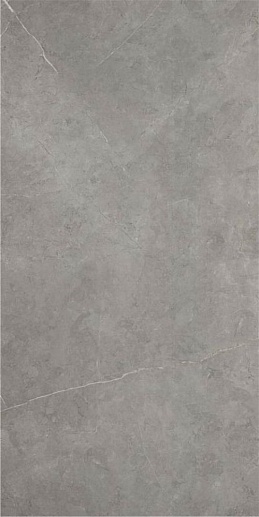 Northon P.E Pul Rect Light Grey 59x119 - фото 1