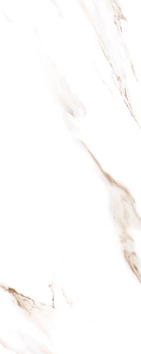 Calacatta Ivori 20.1x50.5 - фото 1