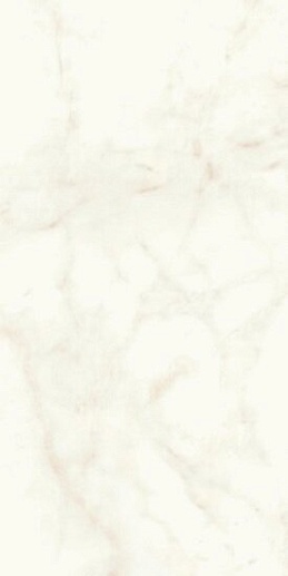 Marvel Shine Calacatta Delicato Matt 60x120 - фото 1