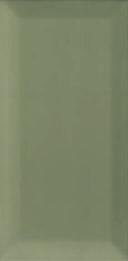 Plus Bissel Green Olive 10x20 - фото 1