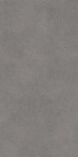 Concept Grey 60x120 - фото 1
