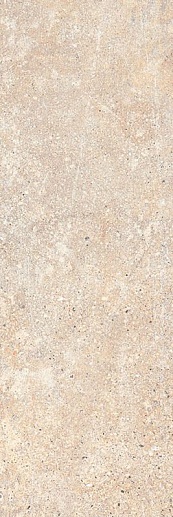 Freedom Beige Rekt. 25x75 - фото 1