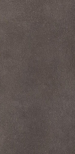 Industrial Plomb Soft Ret 30x60 - фото 1