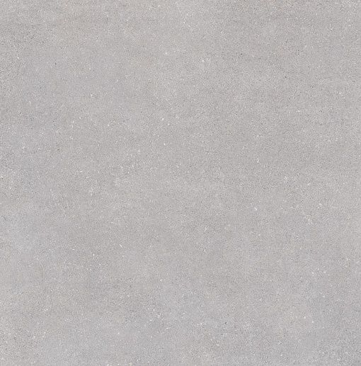 Nassau Gris R 80x80 - фото 1