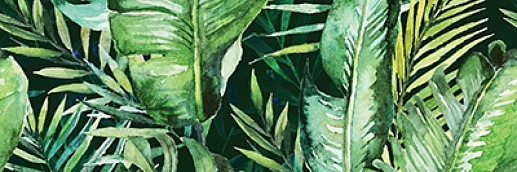 Braga Tropic B Rect 25x75 - фото 1