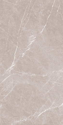 Stone Pietra Grigio CARV 60x120 - фото 1