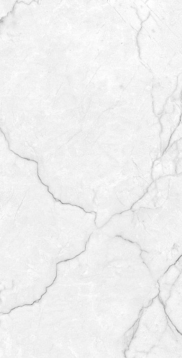 Torso Bianco 60x120 - фото 1