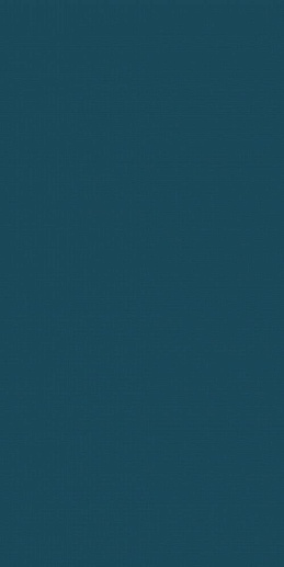 Pastel Navy blue 30x60 - фото 1