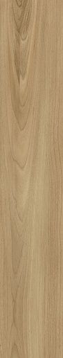 Botanica Dreamwood Rett 20x120 - фото 1