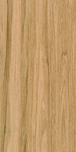 Porcelain Greenwood Great Matt 60x120 - фото 1