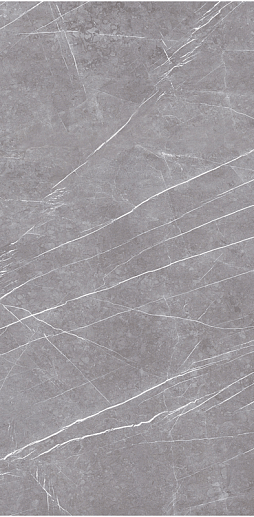 Greystone Argent Ep 60x120 - фото 1