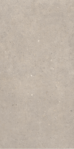 Cement Stone Greige MATE 60x120 - фото 1