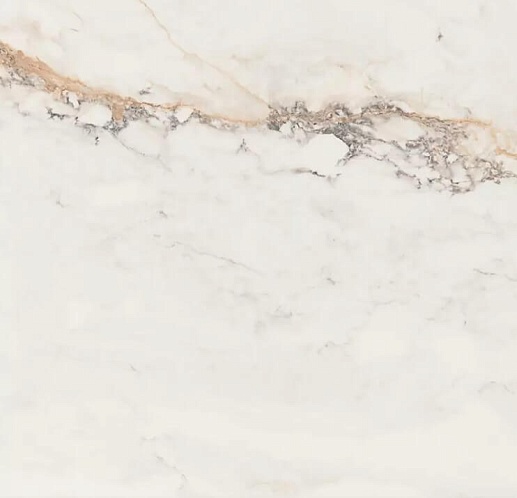 Marbles/Cr. Pisa Gold Compacglass 60x60 - фото 1
