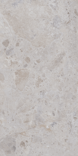 Petra Grey Matt Rect 60x120 - фото 1