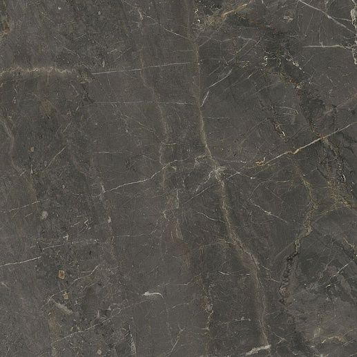 Wonderstone Grey Poler 59.8x59.8 - фото 1