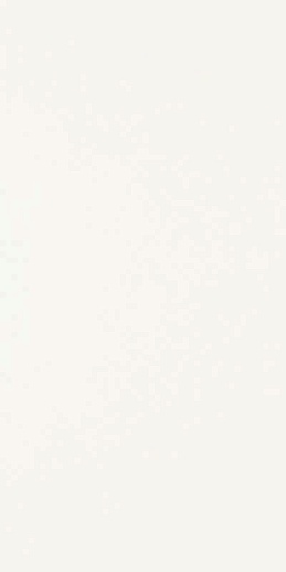 Synergy Bianco Sciana 30x60 - фото 1