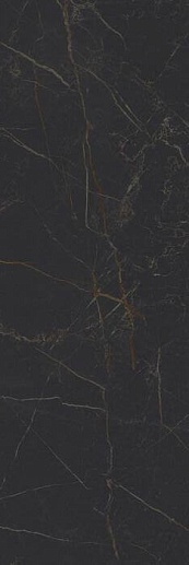 Royal Чёрный 20x60 - фото 1