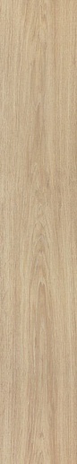 Tanzania Almond 25x150 - фото 1
