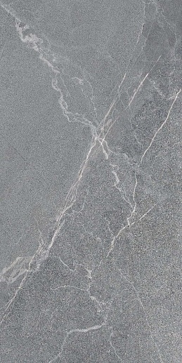 Диккенс Серый 30x60 - фото 1