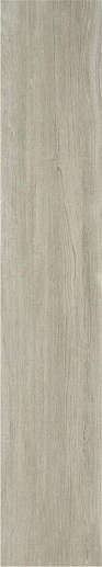 Vilema Taupe 23x120 - фото 1