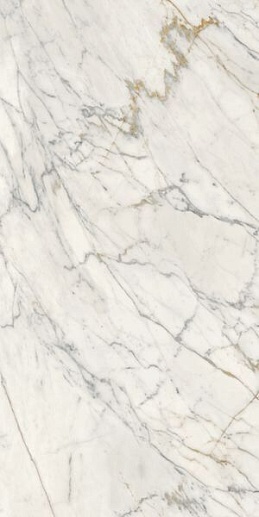 Maiora Marble Effect Calacatta Oro Glossy Rett 120x240 - фото 1