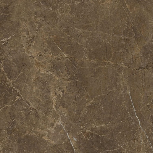 Rapid Brown 60x60 - фото 1