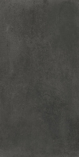 Evo Coal 60x120 - фото 1