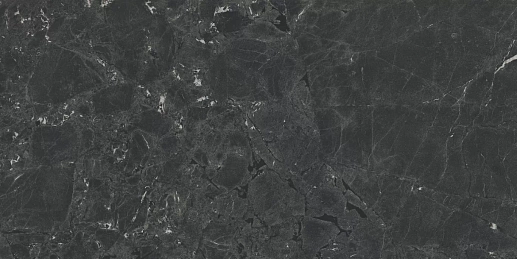Neeko Black 60x120 - фото 1