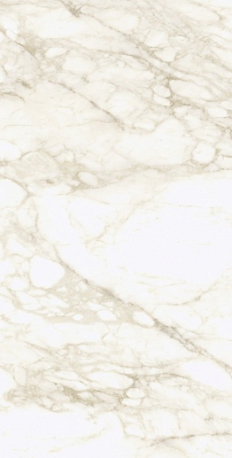 Michelangelo Ворм Рет 60x120 - фото 1