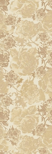 Charme Cappuccino Mod.Rose.Dark 25x75 - фото 1