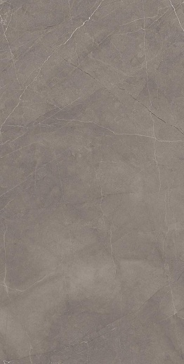 Splash Grey Cерый Сатинированный Карвинг 60x120 - фото 1
