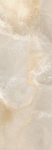 Insignia Onix Delicato Brillo 24.2x70 - фото 1