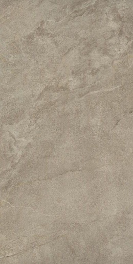 Muse 12Bg 60x120 - фото 1
