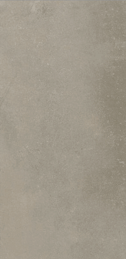 Evoque Taupe 29.9x60 - фото 1