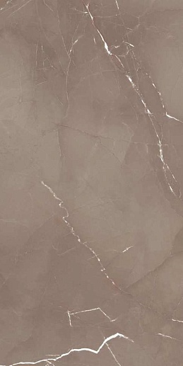Pandora L Taupe 60x120 - фото 1