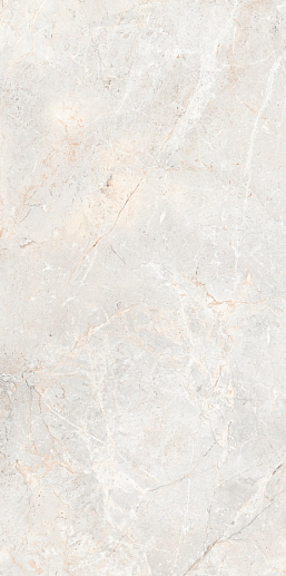Augustus Pearl Natural rect 60x120 - фото 1