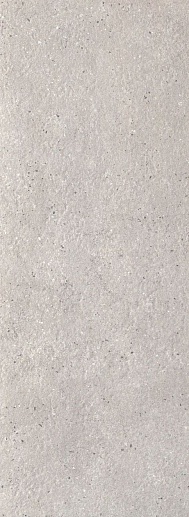 Integrally Grey Str 32.8x89.8 - фото 1