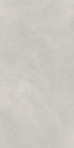 Cemento Newport Gris Matt 60x120 - фото 1