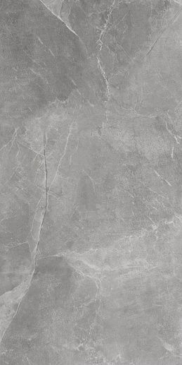 Maxie/Stonemood Silver Rect 59.7x119.7 - фото 1