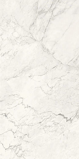 Aesthetica AE CAL6 12 RM 60x120 - фото 1