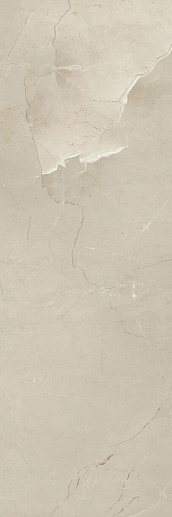 Passion R90 Champagne 30x90 - фото 1