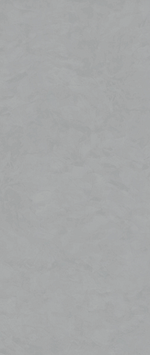 Coating Concept Smoke Matt 120x280 - фото 1