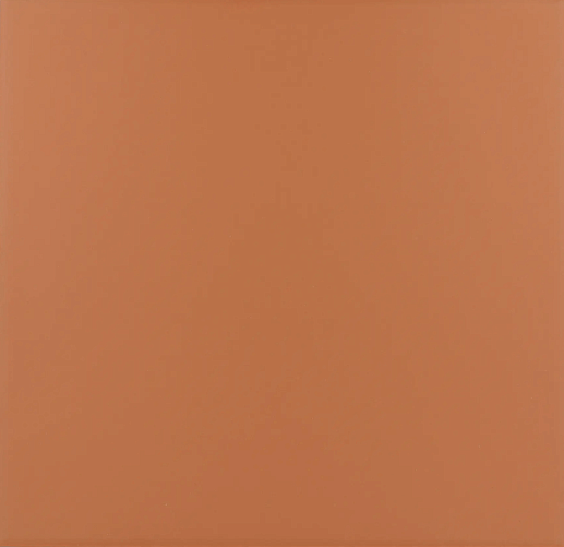 Rivoli Terre 20x20 - фото 1